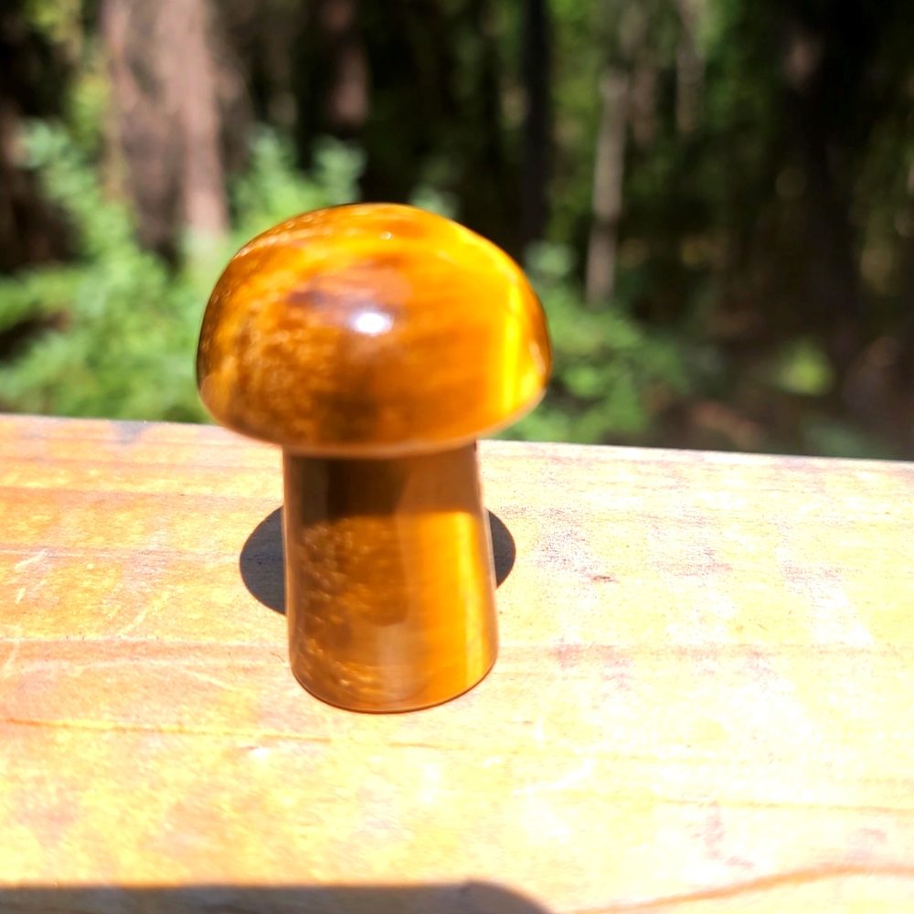 Tigers eye crystal mushroom 🍄 😍